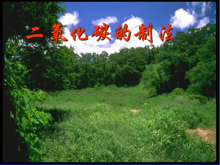 二氧化碳的制法_第1页