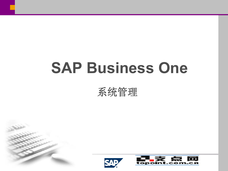 SBO系统管理技能_第1页