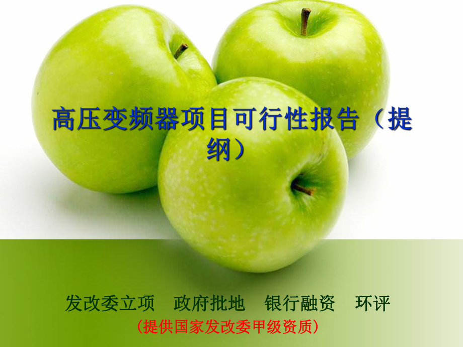 高压变频器项目可行报告提纲_第1页