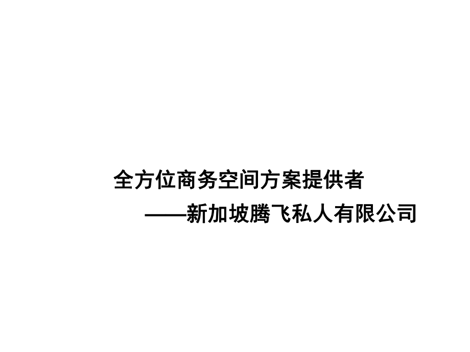 新加坡腾飞公司介绍_第1页