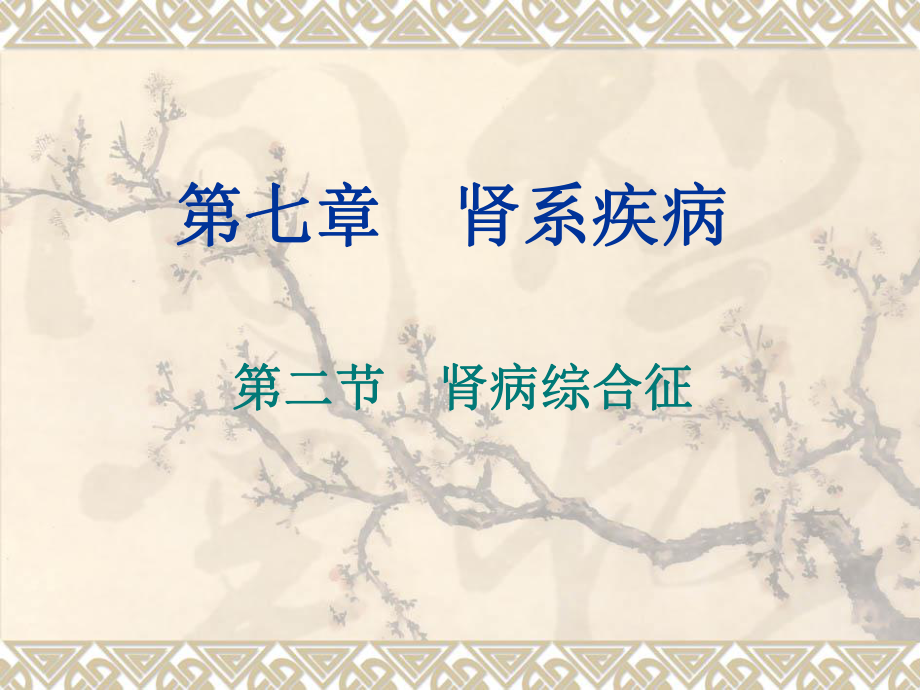 第二节肾病综合症_第1页