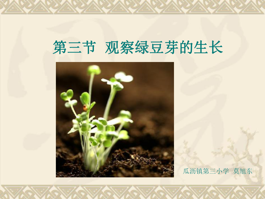 科学上册第一单元观察绿豆芽的生长优秀课件_第1页