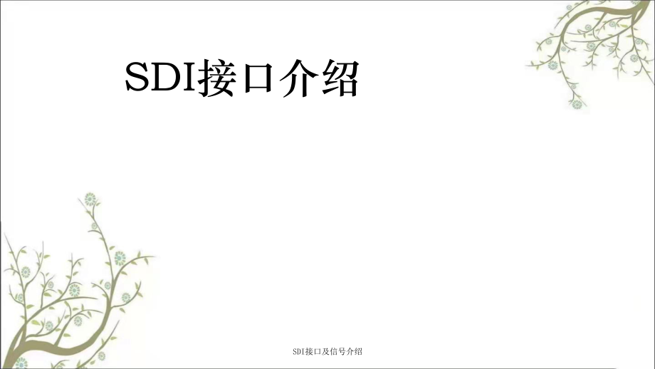 SDI接口及信号介绍课件_第1页