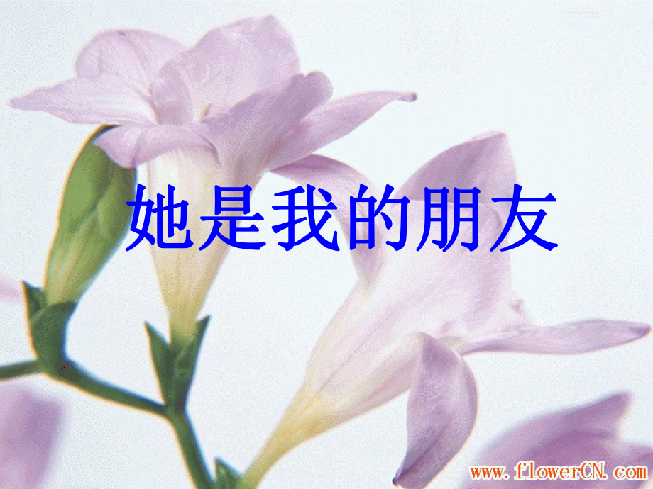 她是我的朋友 (2)_第1页
