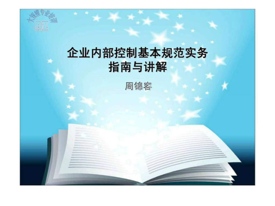 企业内部控制基本规范实务指南与讲解_第1页