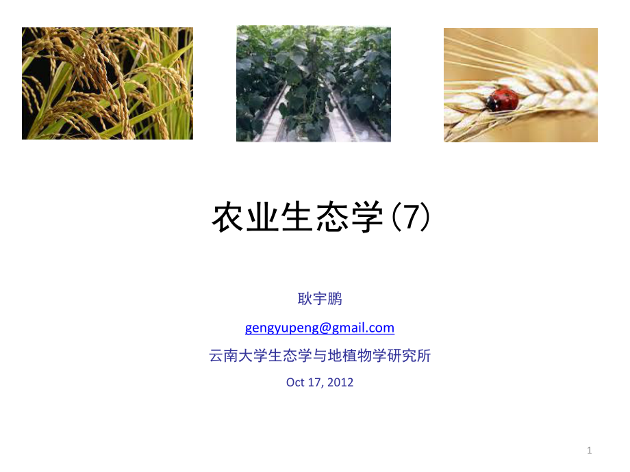农业生态学7N循环ppt课件_第1页