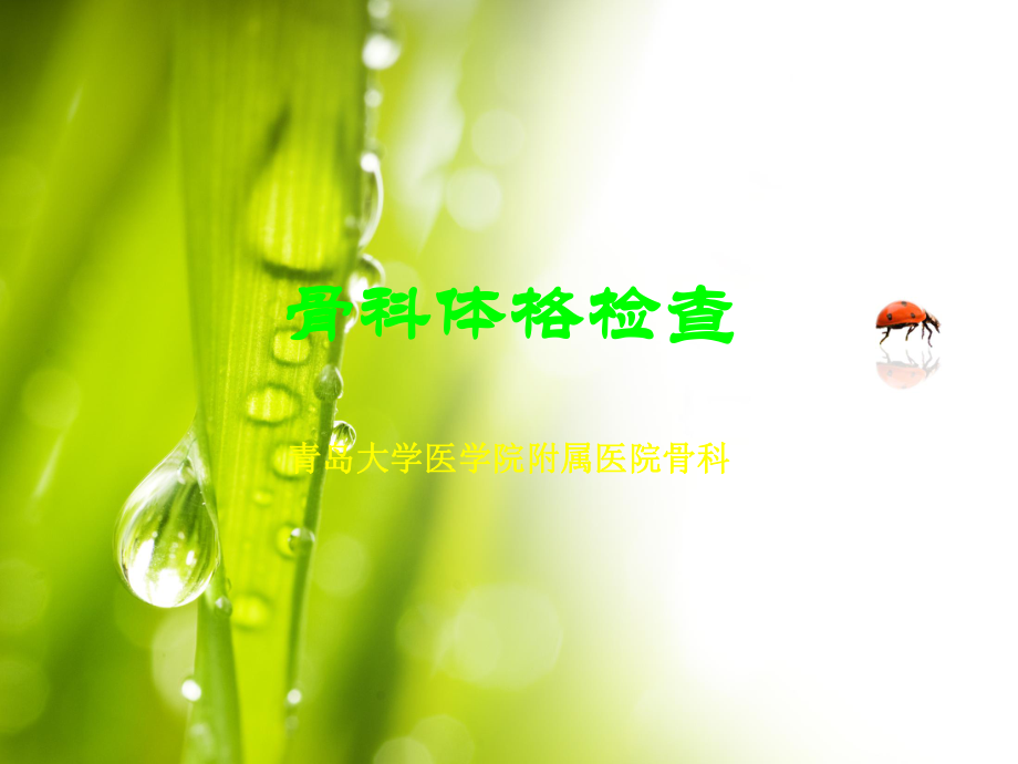 骨科体格检查_第1页
