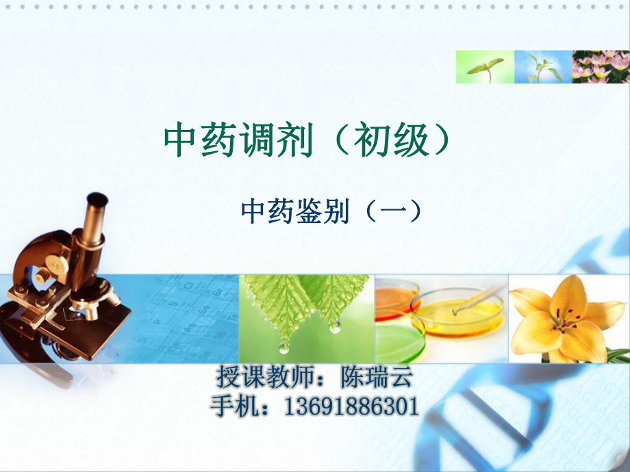 中药鉴别——1_第1页