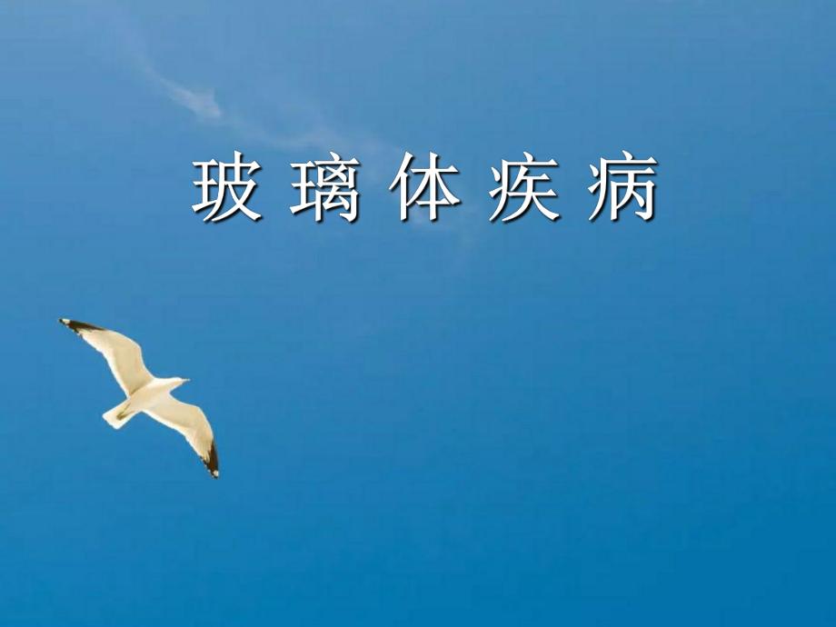 玻璃体疾病ppt课件_第1页
