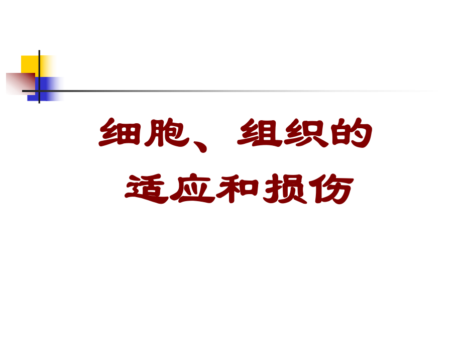 第一适应和损伤_第1页