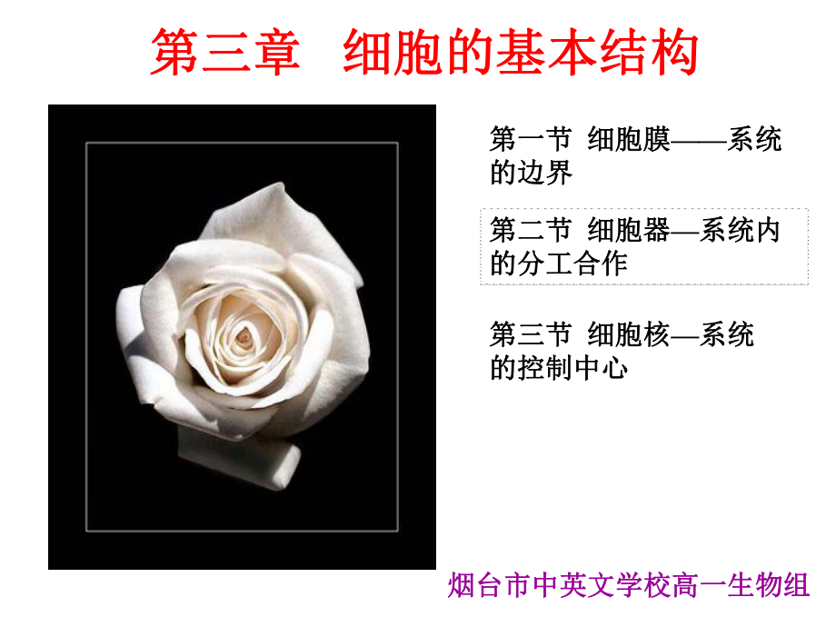 必修一第三章细胞的基本结构复习_第1页