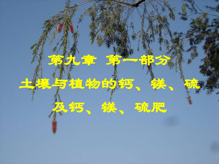 土壤与植物的钙镁硫及钙镁硫肥ppt课件_第1页