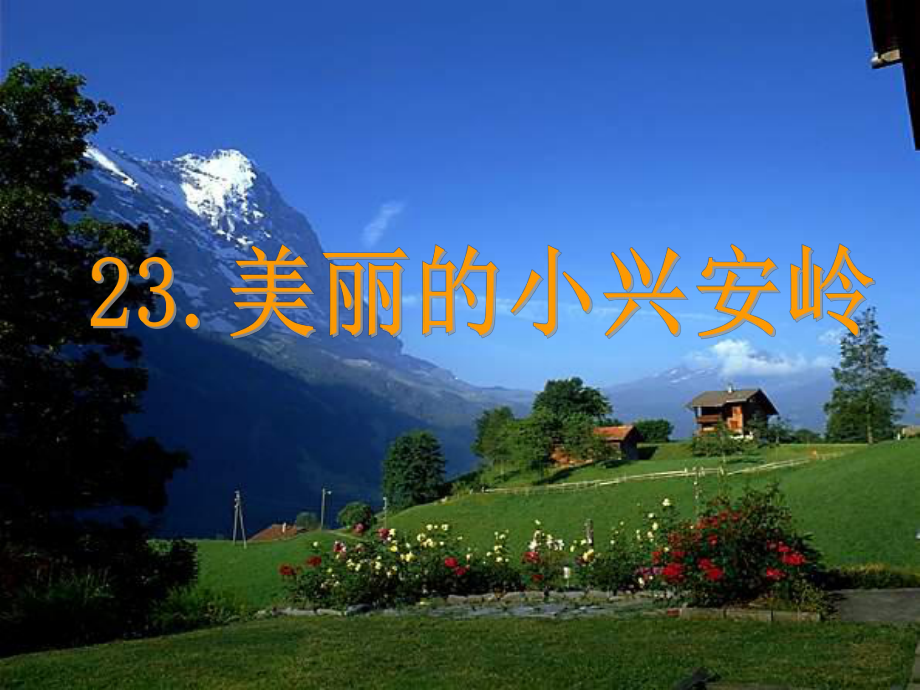 23美丽的小兴安岭 (2)_第1页