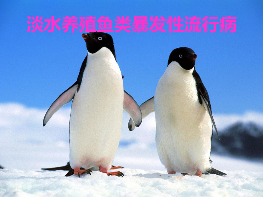 水产药、兽药——淡水养殖鱼类暴发性流行病治疗用药方案_第1页
