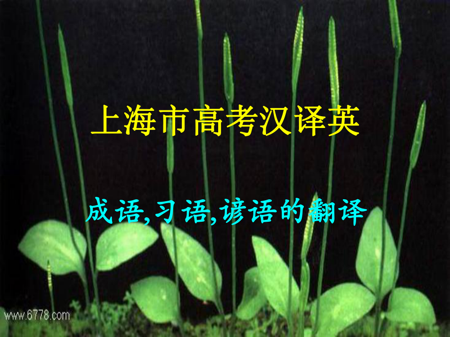 上海高考汉译英课件_第1页