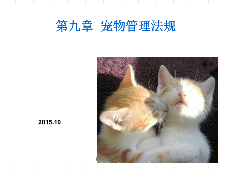 兽医法规宠物法规课件_第1页
