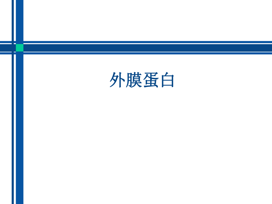 外膜蛋白结构及分类_第1页