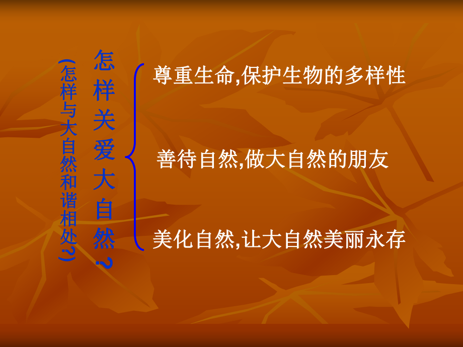 13课1关爱大自然从我做起_第1页