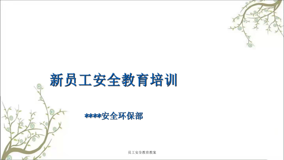 员工安全教育教案PPT课件_第1页