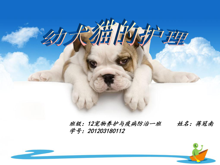 幼犬,猫护理蒋冠南_第1页