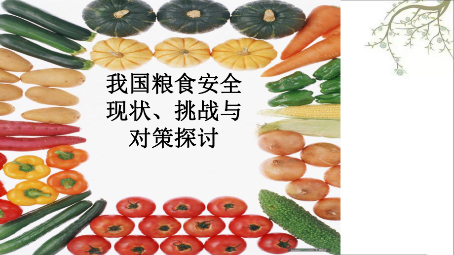 粮食安全现状对策分析PPT课件_第1页