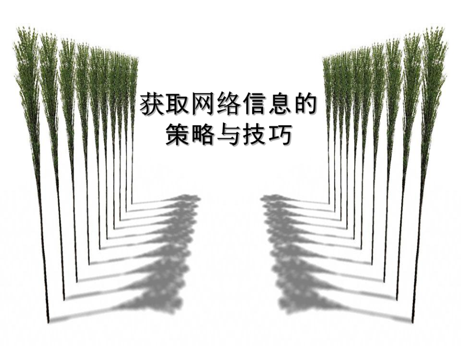 22获取网络信息的策略与技巧_第1页