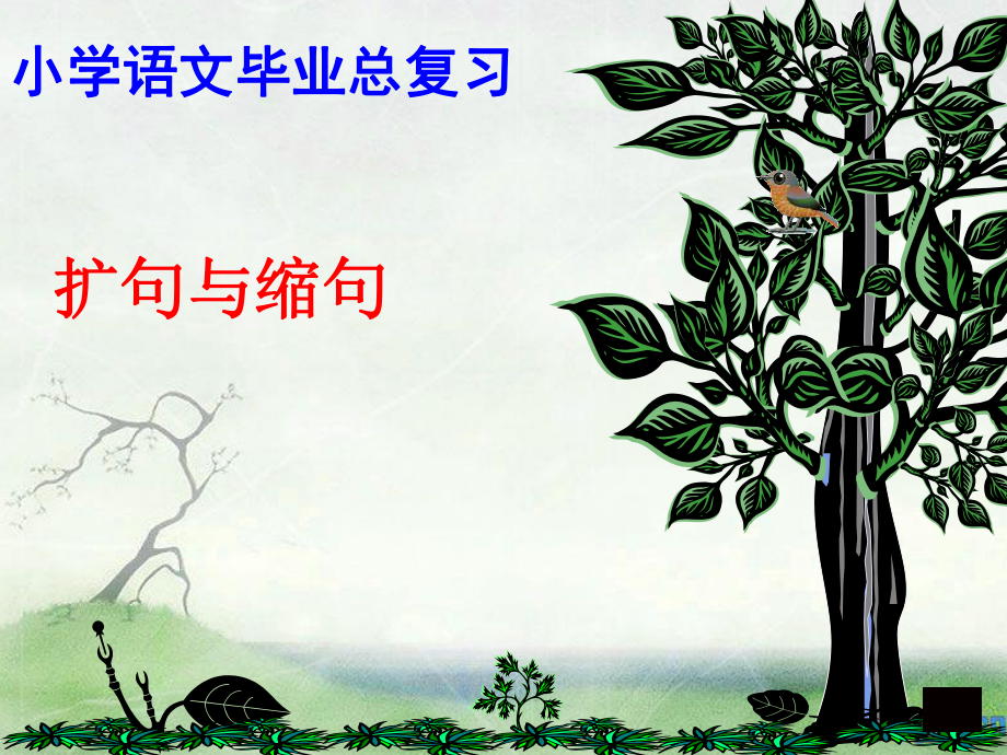 缩句、扩句复习课件_第1页