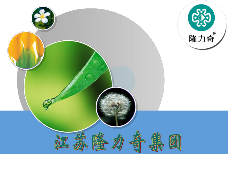 隆力奇十大优超越团队顾客资料_第1页