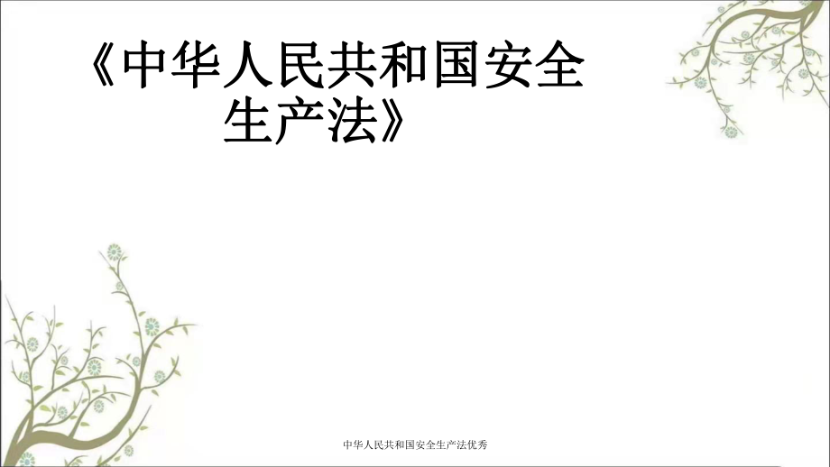 中华人民共和国安全生产法优秀PPT课件_第1页