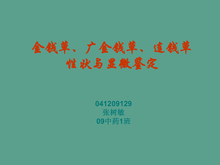 金钱草连钱草的鉴定ppt课件_第1页