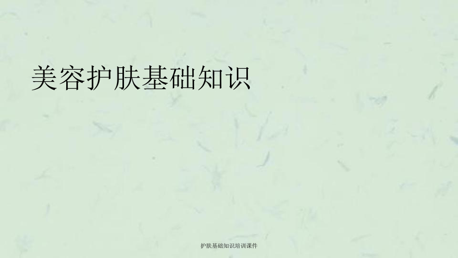 护肤基础知识培训课件_第1页