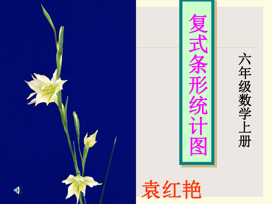 袁红艳复式条形统计图_第1页