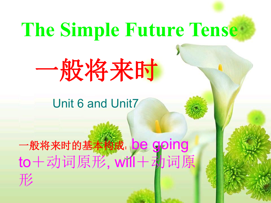 一般将来时公开课课件PPT._第1页