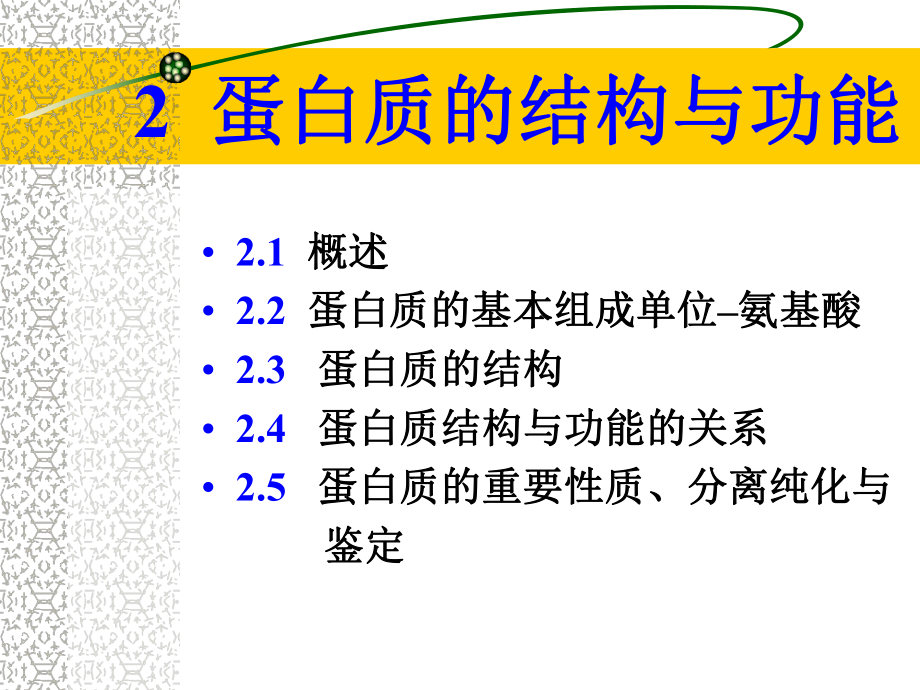 生物化学课件21_第1页