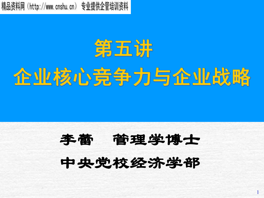 企业核心竞争力及企业战略讲义_第1页
