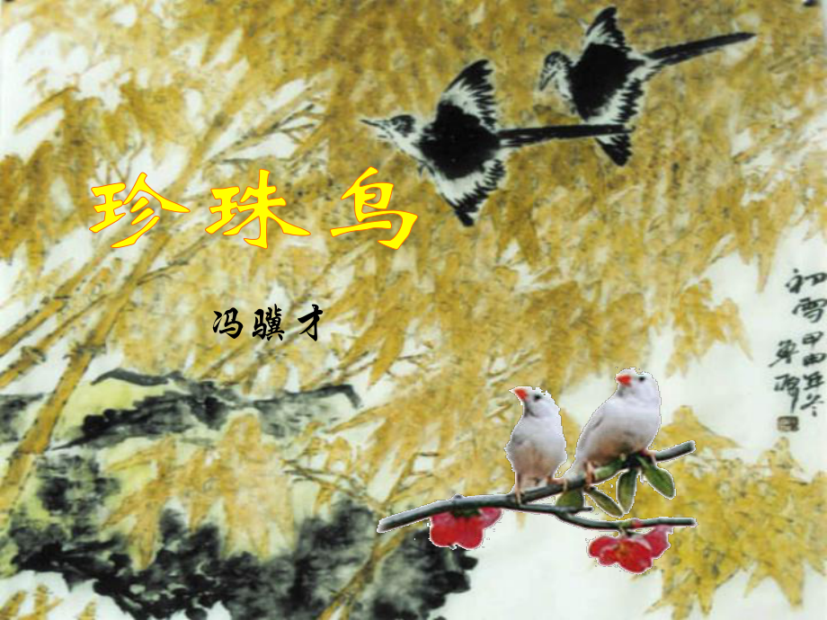 五年级语文下册珍珠鸟课件语文S版_第1页