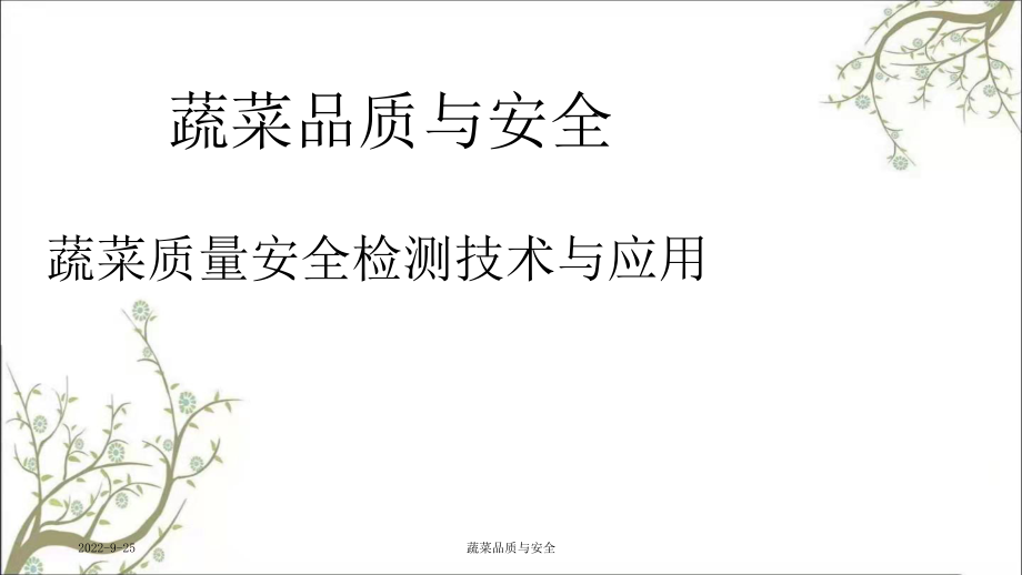 蔬菜品质与安全PPT课件_第1页