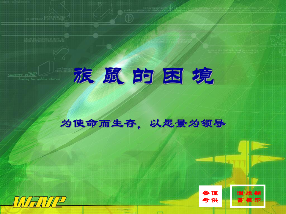 旅鼠的困境为使命而生存以愿景为领导大卫哈彻斯_第1页
