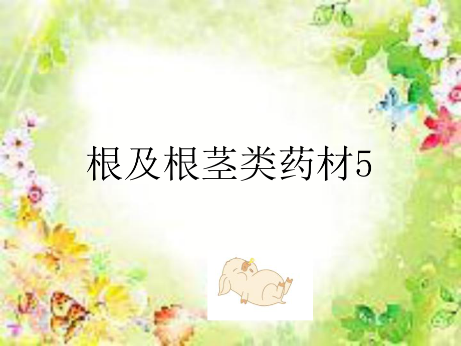 根及根茎类药材5白及姜黄郁金麻黄根地榆_第1页