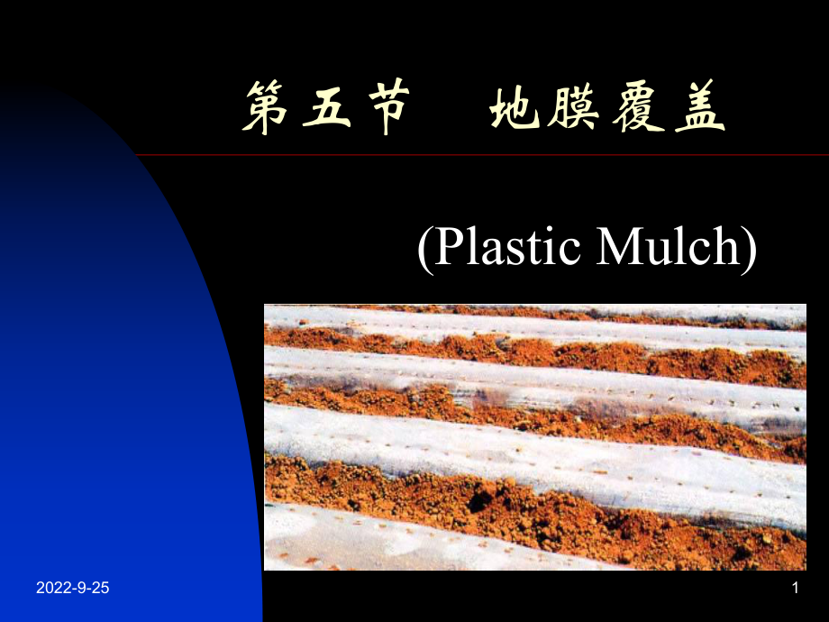 《设施园艺》PPT课件_第1页