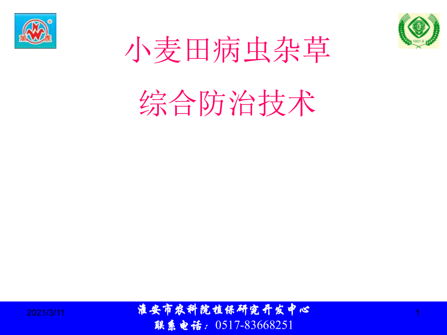 小麦田病虫杂草防治技术_第1页