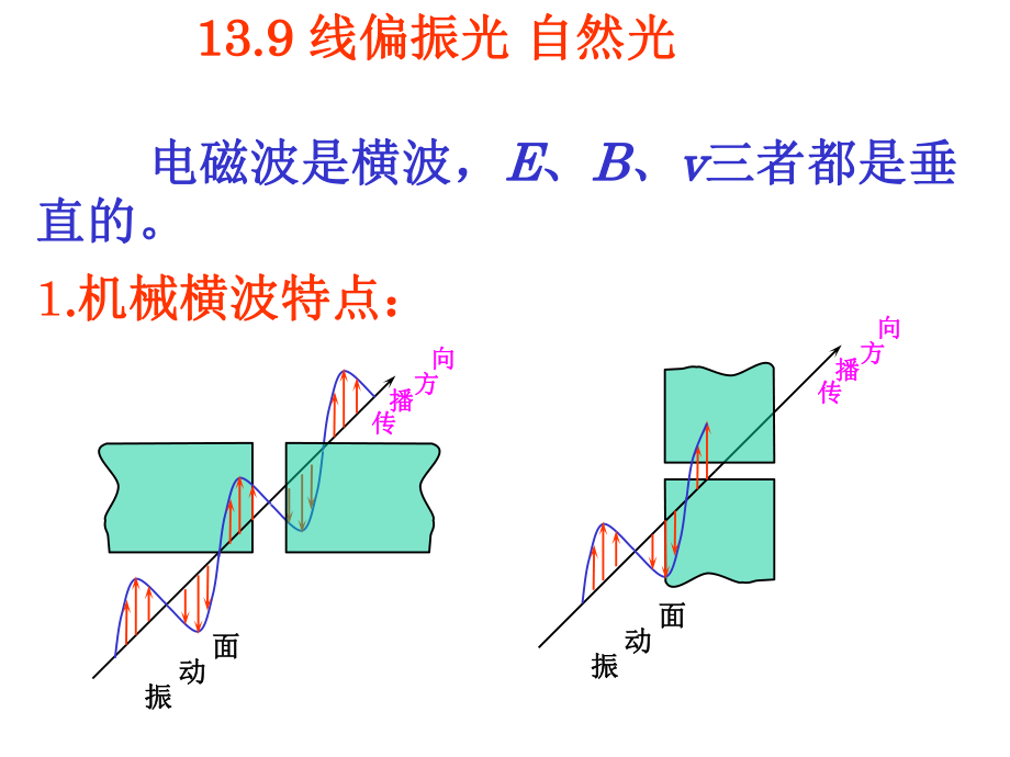大学物理基础光的偏振_第1页
