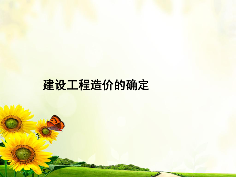 投资预算确定课件_第1页