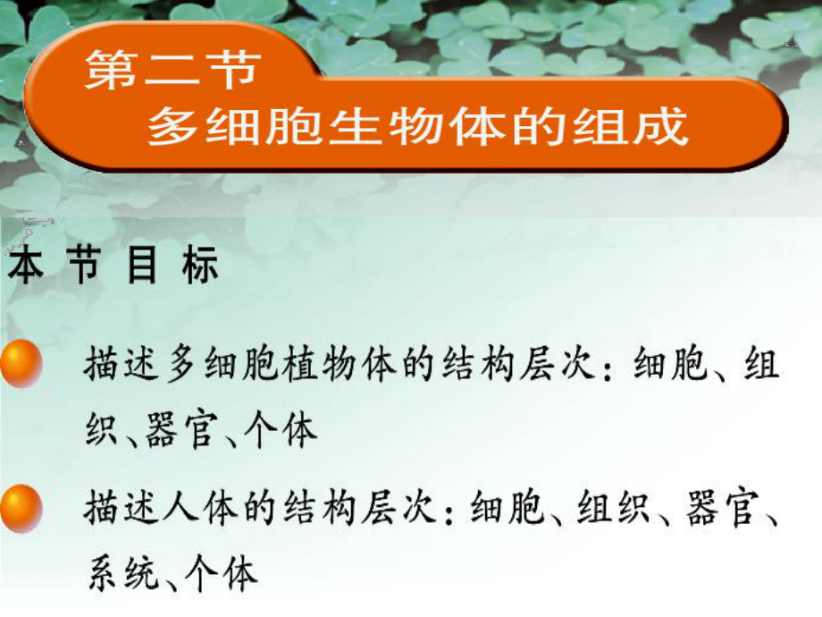 多细胞生物体的组成_第1页