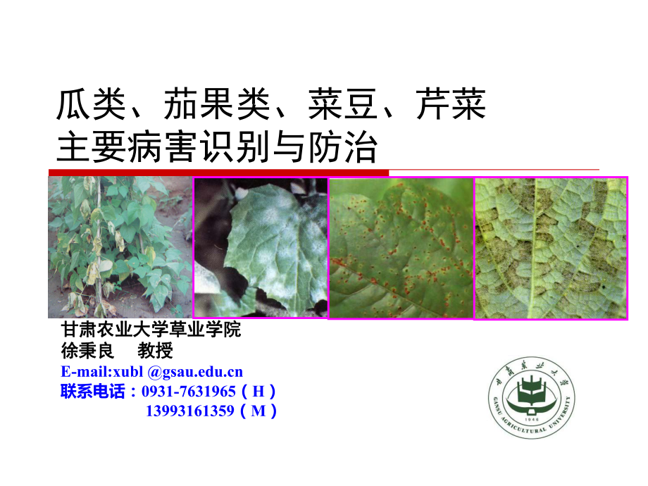茄果类瓜豆芹菜病害_第1页