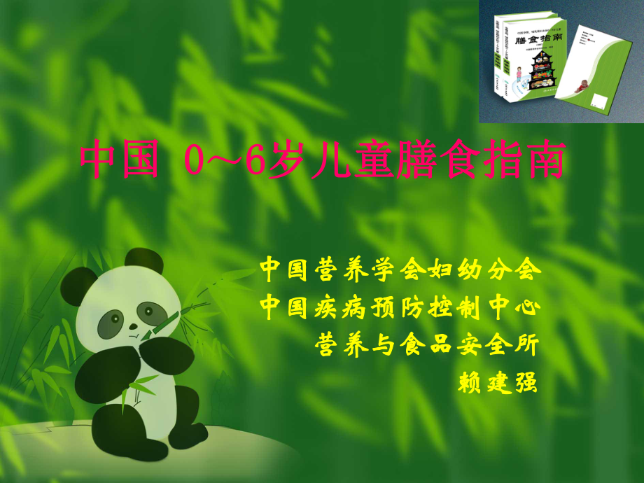 中国06岁儿童膳食指南_第1页
