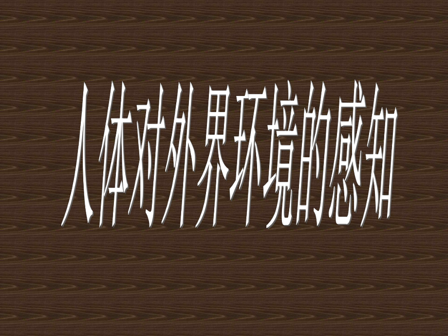 耳的结构与听觉的形成.课件_第1页