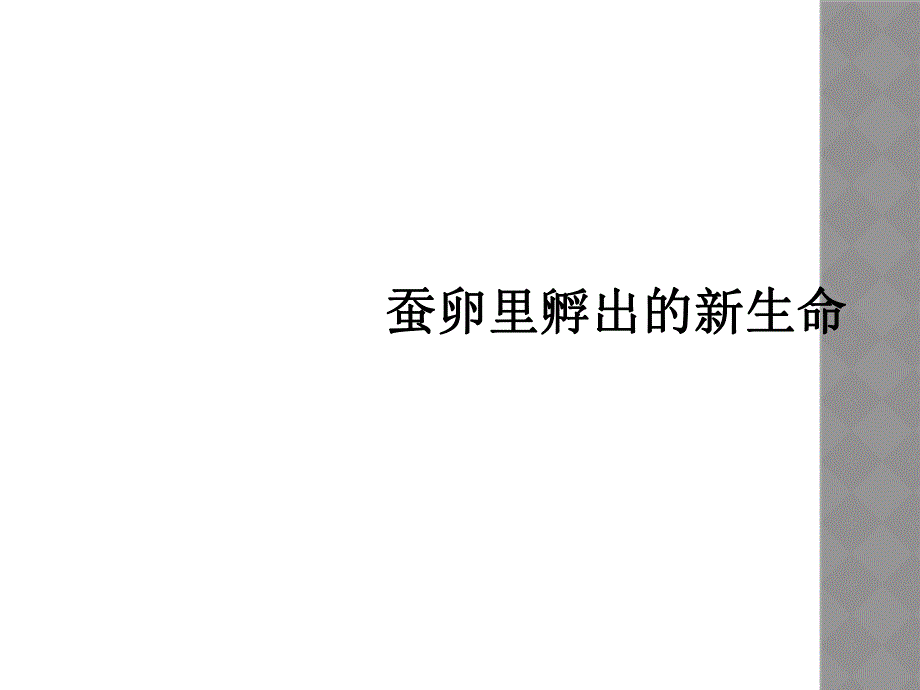 蚕卵里孵出的新生命_第1页