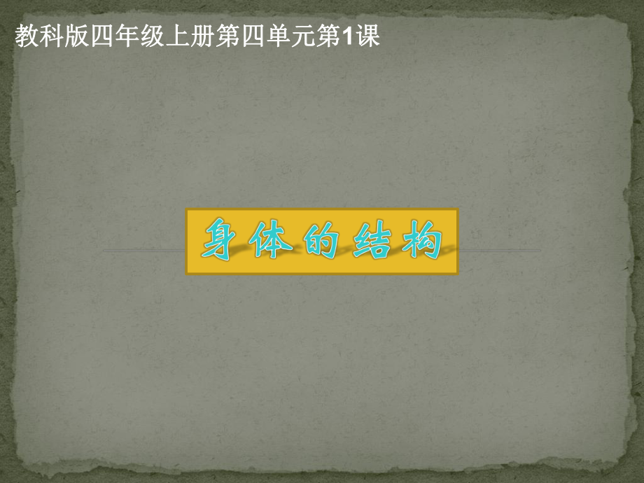四上四1身体的结构_第1页
