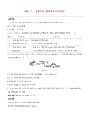 （淮安專版）2020中考化學(xué)復(fù)習(xí)方案 專項(xiàng)10 氫氧化鈉、氫氧化鈣的變質(zhì)探究試題